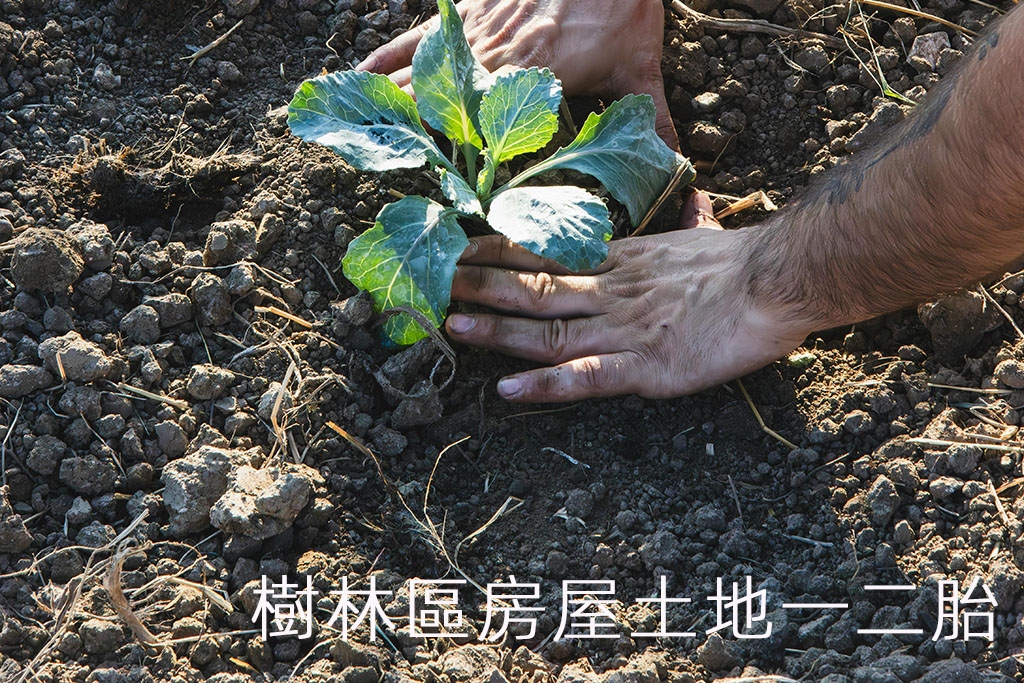 樹林區房屋土地一二胎