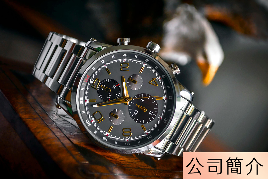 公司簡介
