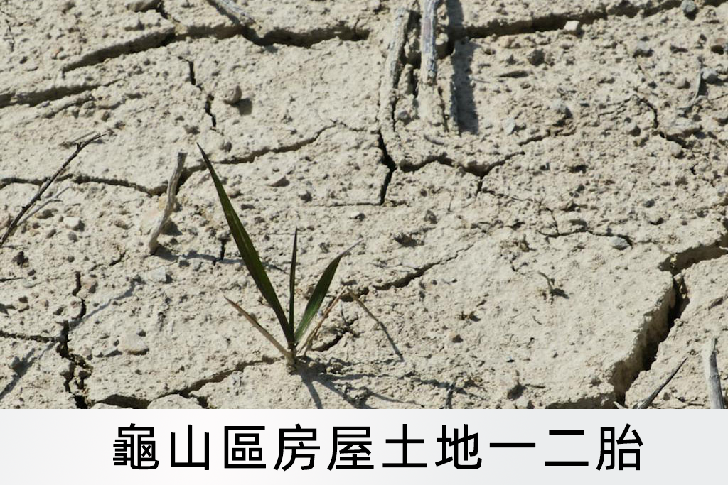 龜山區房屋土地一二胎